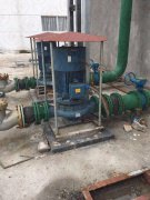 案例三(san)十一